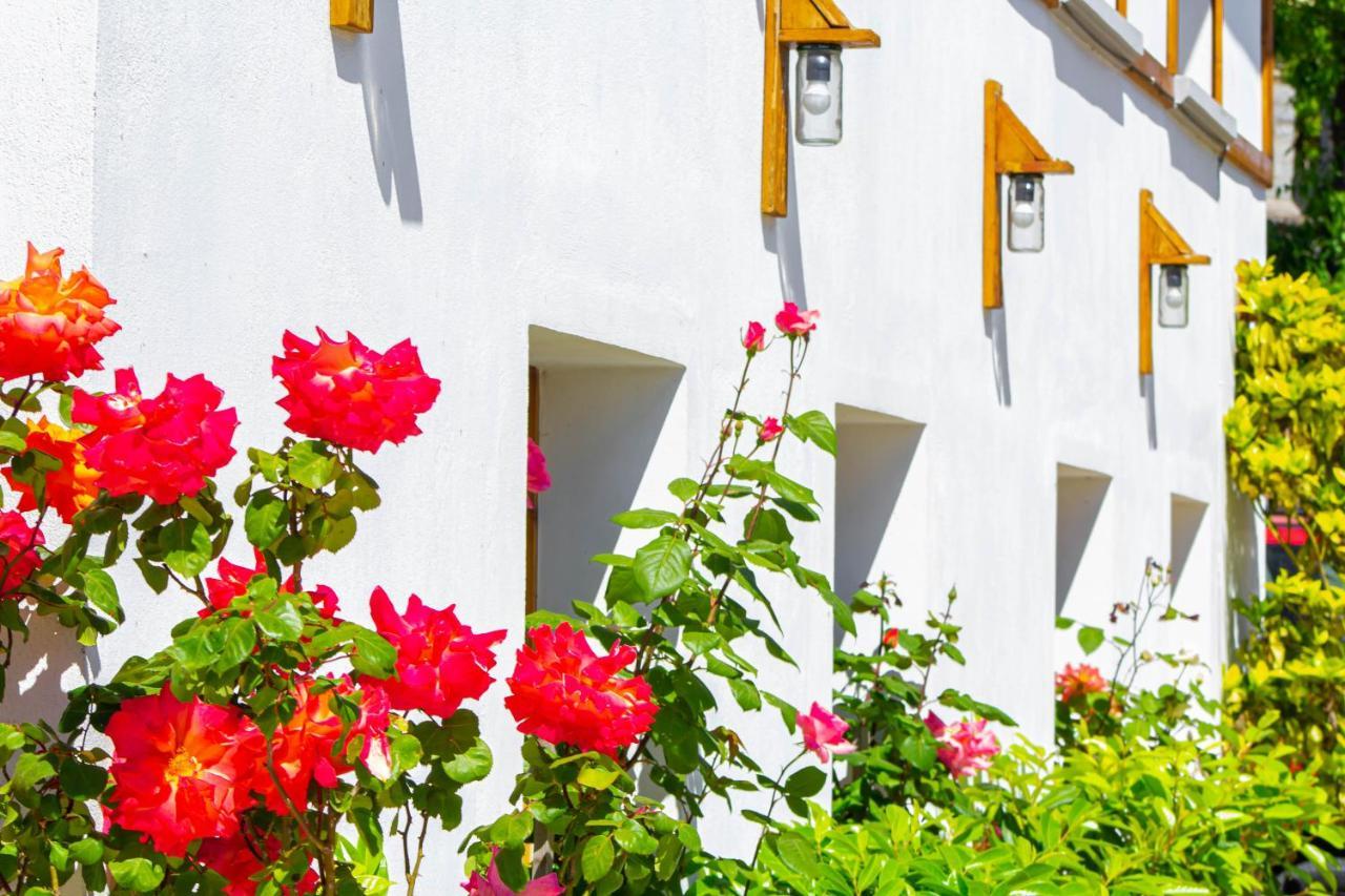 Hotel Bebej Tradicional Gjirokastër